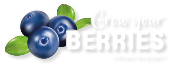 Grow Your Berries